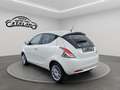 Lancia Ypsilon 1.2 69 CV 5p. Platinum NAVI PELLE Bronzo - thumbnail 3