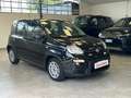 Fiat Panda 1.0 FireFly S&S Hybrid *UNICO PROP.*SENSORI* Nero - thumbnail 3