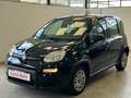 Fiat Panda 1.0 FireFly S&S Hybrid *UNICO PROP.*SENSORI* Nero - thumbnail 1