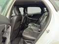 Volvo V40 R-Design+Autom.+LED+KAMERA+NAVI+TEMPOMAT+ Blanc - thumbnail 12
