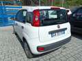 Fiat Panda 1.2 Pop Blanco - thumbnail 4