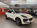 Porsche Macan 2.0 265cv pdk IVA ESPOSTA GARANZIA 12 MESI Bianco - thumbnail 3