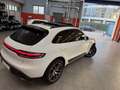 Porsche Macan 2.0 265cv pdk IVA ESPOSTA GARANZIA 12 MESI Bianco - thumbnail 15