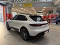Porsche Macan 2.0 265cv pdk IVA ESPOSTA GARANZIA 12 MESI Bianco - thumbnail 6