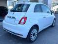 Fiat 500 1.0 hybrid Dolcevita 70cv - Prezzo Reale Blanc - thumbnail 2