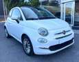 Fiat 500 1.0 hybrid Dolcevita 70cv - Prezzo Reale Blanc - thumbnail 1