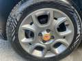 Fiat Panda Panda III  4x4 1.3 mjt 16v K-way 4x4 s Blu/Azzurro - thumbnail 11