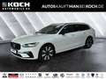 Volvo V90 T6 Plug-In AWD Plus Dark Harman BLIS 360°AHK Weiß - thumbnail 1