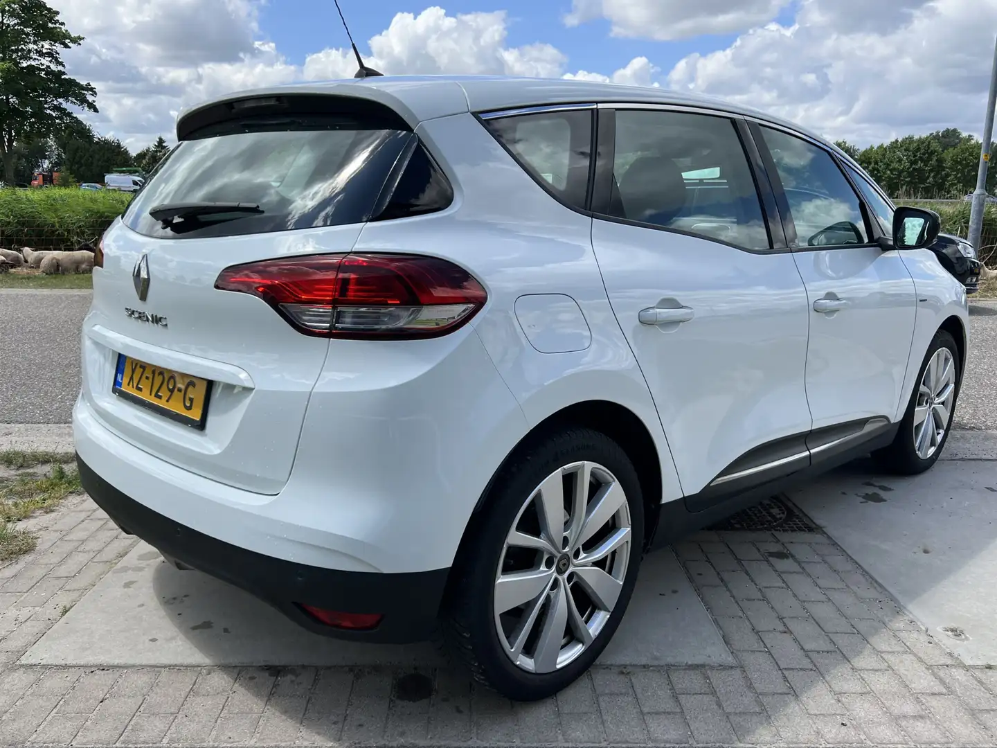 Renault Scenic 1.3 TCe Limited / Keyless / Parkeersensoren V+A / Wit - 2