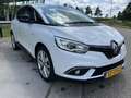 Renault Scenic 1.3 TCe Limited / Keyless / Parkeersensoren V+A / Wit - thumbnail 8