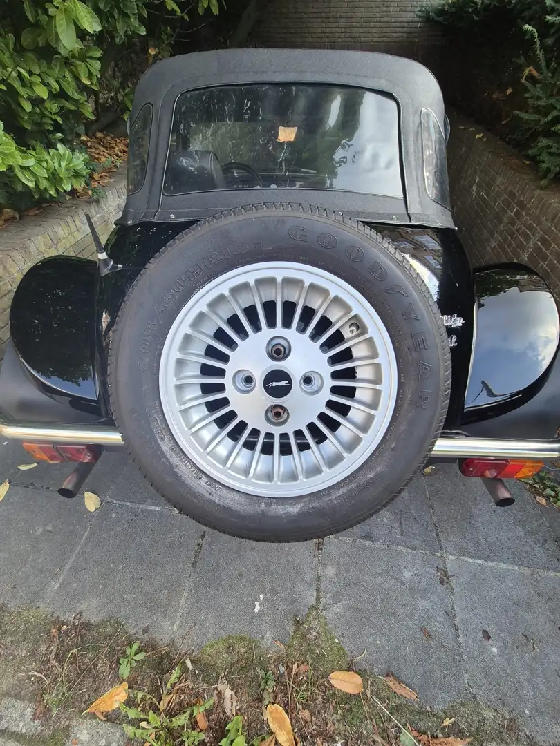 Panther Westwinds Kallista Schwarz - 1