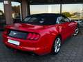 Ford Mustang 2.3 EcoBoost/SHZ/SBL/Cabrio/LED - thumbnail 5