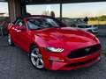 Ford Mustang 2.3 EcoBoost/SHZ/SBL/Cabrio/LED - thumbnail 3