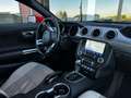 Ford Mustang 2.3 EcoBoost/SHZ/SBL/Cabrio/LED - thumbnail 10