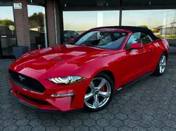 Ford Mustang 2.3 EcoBoost/SHZ/SBL/Cabrio/LED