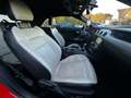 Ford Mustang 2.3 EcoBoost/SHZ/SBL/Cabrio/LED - thumbnail 12