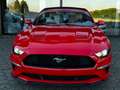 Ford Mustang 2.3 EcoBoost/SHZ/SBL/Cabrio/LED - thumbnail 2