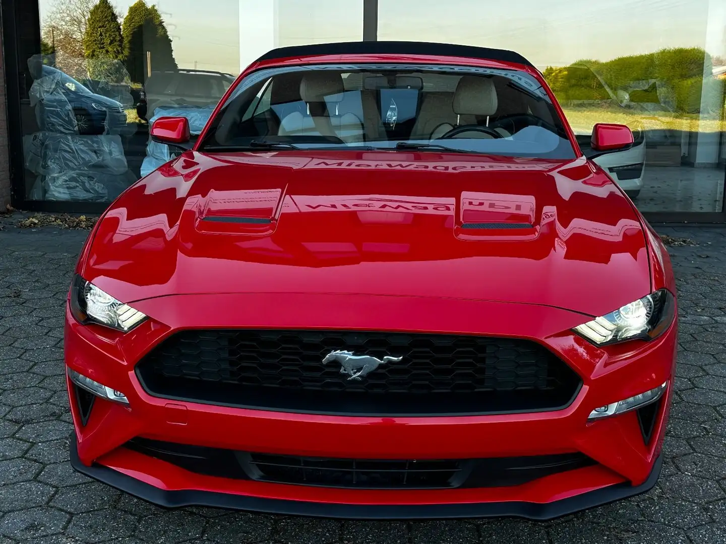 Ford Mustang 2.3 EcoBoost/SHZ/SBL/Cabrio/LED - 2