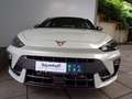 CUPRA Leon LEON 1.5 eTSI DSG 36 MONATE ANSCHLUSSGARANTIE Grau - thumbnail 6