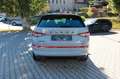 Skoda Kodiaq RS 4x4 Grau - thumbnail 4