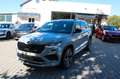 Skoda Kodiaq RS 4x4 Grau - thumbnail 1