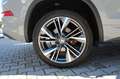 Skoda Kodiaq RS 4x4 Grau - thumbnail 15