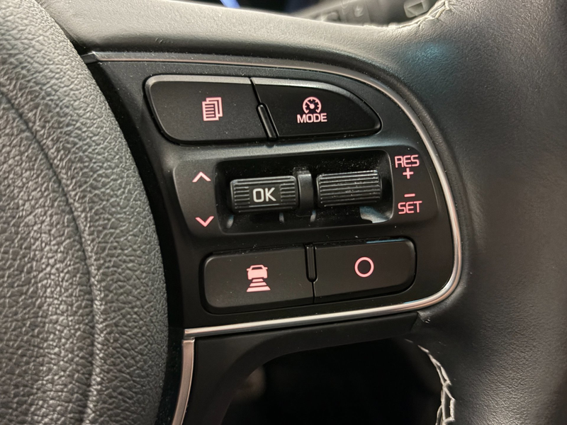 Kia e-Niro ExecutiveLine 64 kWh JBL audio / Leder-stof — photo 18