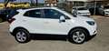 Opel Mokka X 1.6 cdti Business s&s 4x2 136cv my18 Bianco - thumbnail 5