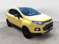 Ford EcoSport 1.0 EcoBoost 125 CV Titanium Giallo - thumbnail 10