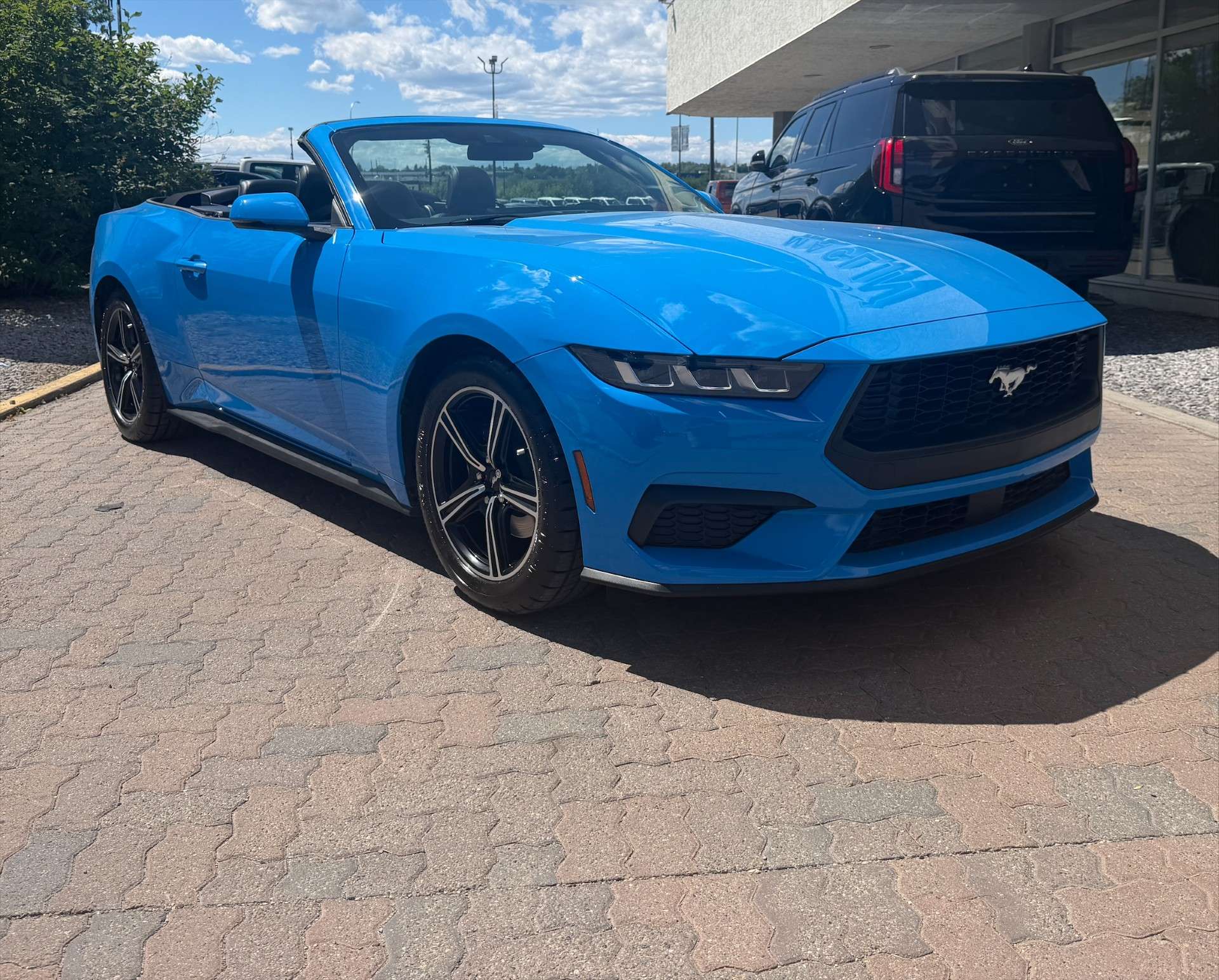 2025 Ford Mustang EcoBoost Premium Convertible RWD