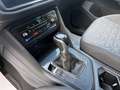 Volkswagen Tiguan 2.0 TDI Life 150CV DSG Bianco - thumbnail 11