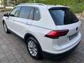 Volkswagen Tiguan 2.0 TDI Life 150CV DSG Bianco - thumbnail 4