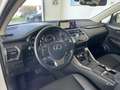 Lexus NX 300 h Hybrid 4WD Executive Blanc - thumbnail 9