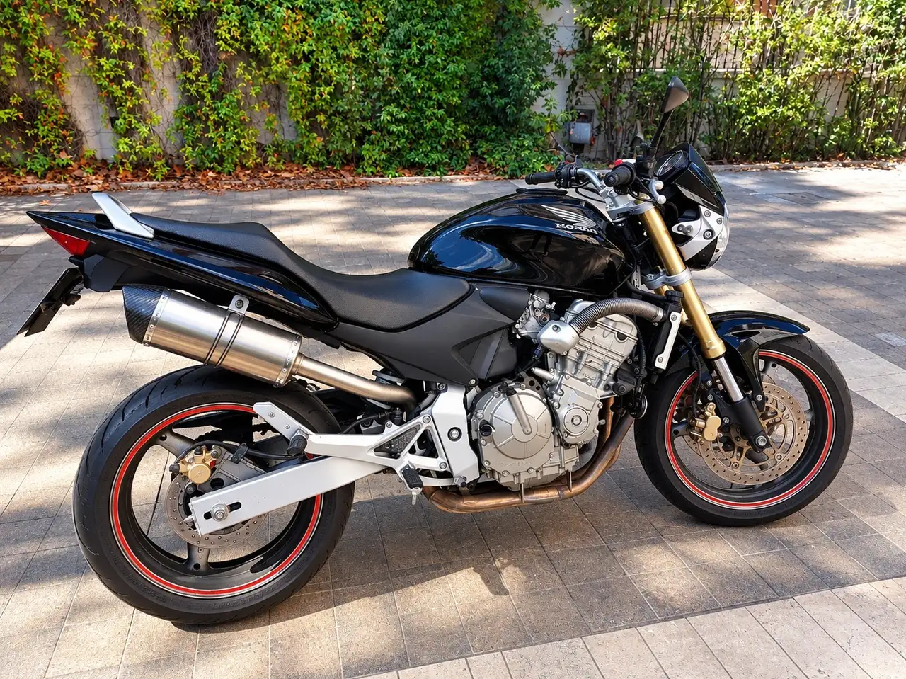 Honda Hornet