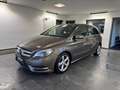 Mercedes-Benz B 250 *Bi-Xenon*Kamera*Sitzheizung*Bluetooth* Grau - thumbnail 2