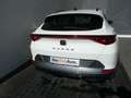 CUPRA Formentor 1.5 TSI 150 PS DSG ACT Weiß - thumbnail 19