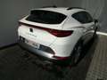 CUPRA Formentor 1.5 TSI 150 PS DSG ACT Weiß - thumbnail 18