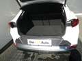 CUPRA Formentor 1.5 TSI 150 PS DSG ACT Weiß - thumbnail 20