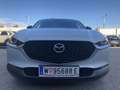 Mazda CX-30 e-Skyactive G140 Homura Aut. AUTO STAHL WIEN 21... Weiß - thumbnail 3