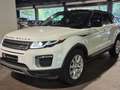 Land Rover Range Rover Evoque Evoque 2.0 TD4 4WD Urban Series Pure Blanc - thumbnail 3