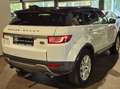 Land Rover Range Rover Evoque Evoque 2.0 TD4 4WD Urban Series Pure Blanc - thumbnail 6