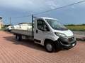 Fiat Ducato FIAT DUCATO 35  2.3 Multijet 16V 140CV E6D-temp Wit - thumbnail 3