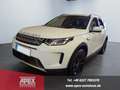 Land Rover Discovery Sport S P300 AWD Garantie Pano 227 kW (309 PS), Autom... Weiß - thumbnail 1