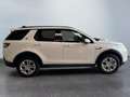 Land Rover Discovery Sport S P300 AWD Garantie Pano 227 kW (309 PS), Autom... Weiß - thumbnail 6