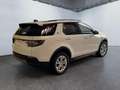 Land Rover Discovery Sport S P300 AWD Garantie Pano 227 kW (309 PS), Autom... Weiß - thumbnail 5