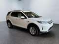 Land Rover Discovery Sport S P300 AWD Garantie Pano 227 kW (309 PS), Autom... Weiß - thumbnail 7