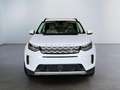 Land Rover Discovery Sport S P300 AWD Garantie Pano 227 kW (309 PS), Autom... Weiß - thumbnail 8