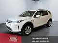 Land Rover Discovery Sport S P300 AWD Garantie Pano 227 kW (309 PS), Autom... Weiß - thumbnail 1