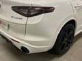 Alfa Romeo Stelvio 2.1 TD 154KW TRIBUTO ITALIANO AT8 Q4 5P Blanco - thumbnail 17