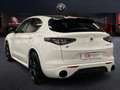 Alfa Romeo Stelvio 2.1 TD 154KW TRIBUTO ITALIANO AT8 Q4 5P Blanco - thumbnail 7